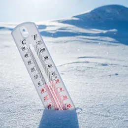 A thermometer stuck in the snow