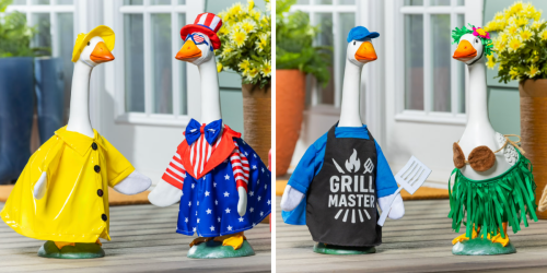 porch geese dressed up in outfits