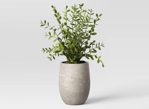 14" Privet Artificial Plant - Threshold™ designed with Studio McGee: Cement Pot, Indoor/Outdoor, Tabletop Decor