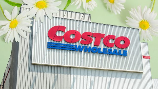 Costco Spring
