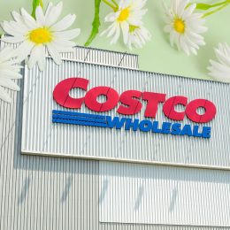 Costco Spring