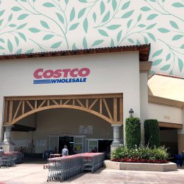 Costco