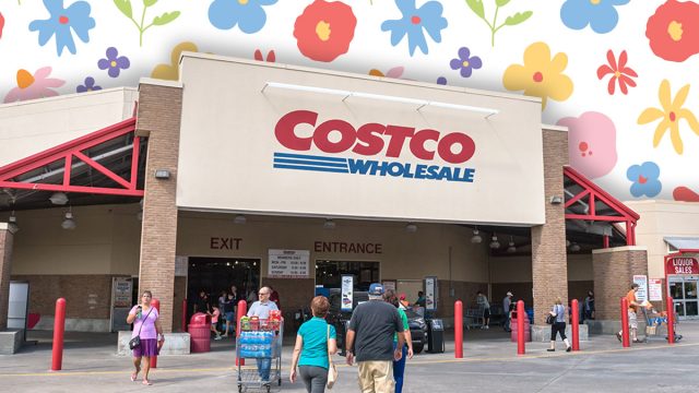 Costco Spring