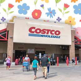 Costco Spring