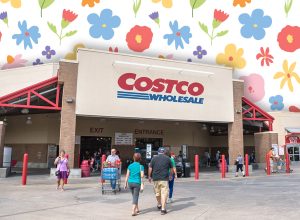 Costco Spring