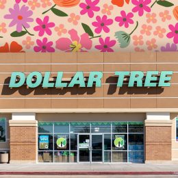 Dollar Tree