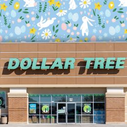 Dollar Tree