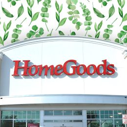HomeGoods
