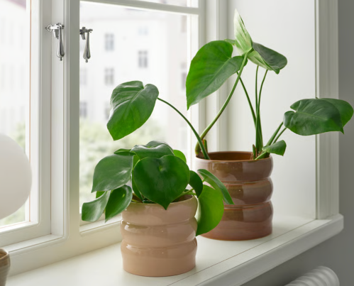 bubble planters from IKEA on a window sill