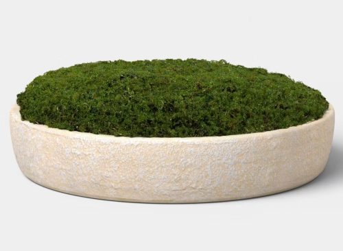 Large Moss Bowl - Threshold™