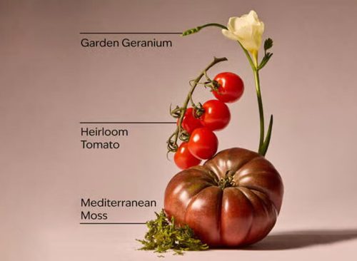 Off the Vine Fine Fragrance Mist 