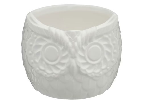 Owl Shaped Planter, 4.8 in, Assorted1 Owl Shaped Planter