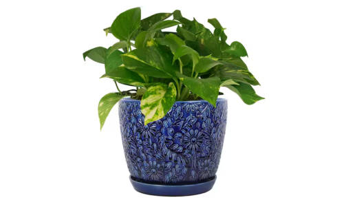 blue glazed outdoor pot