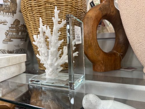 homegoods-hidden-finds-coral-bookend