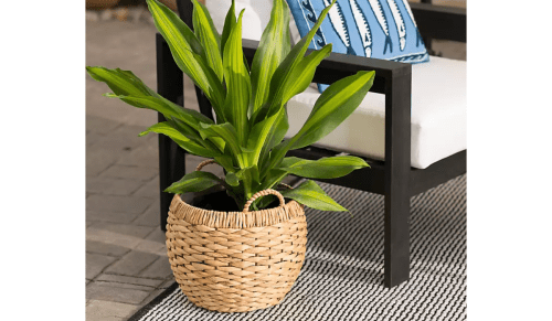 rattan planter