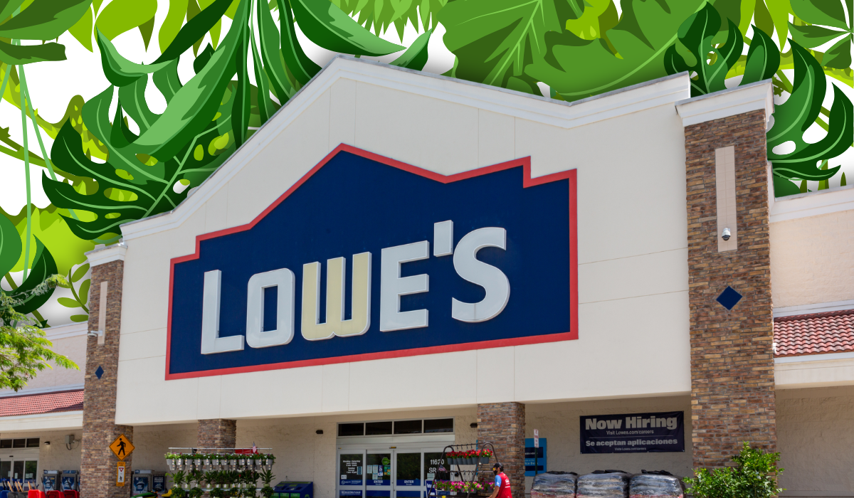 Lowe's store with a leafy green background