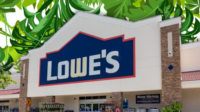 Lowe's store with a leafy green background