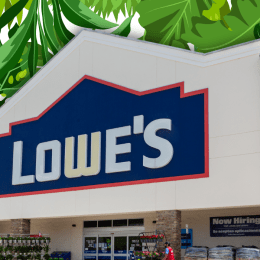 Lowe's store with a leafy green background