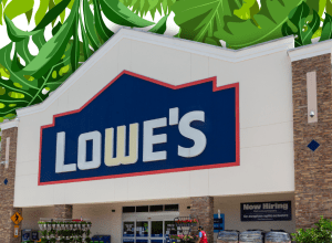 Lowe's store with a leafy green background