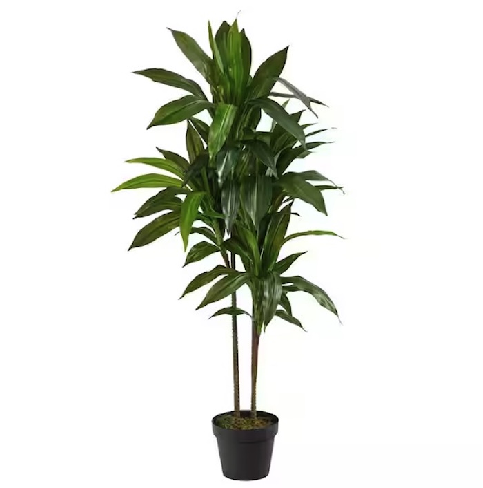 Nearly Natural Green Dracaena Silk Plant