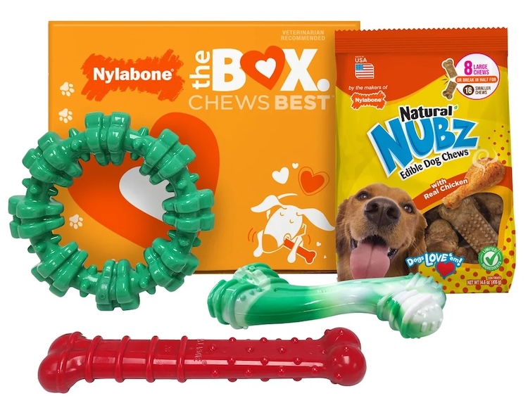 Nylabone Chew Toys & NUBZ Chew Treats Gift Box