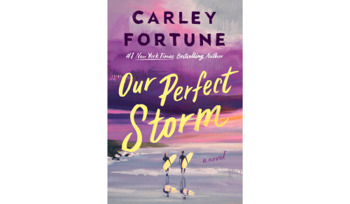 book cover of Our Perfect Storm by Carley Fortune