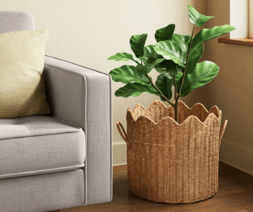 scalloped edge rattan basket with a plant in it