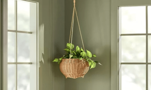 woven hanging plant basket