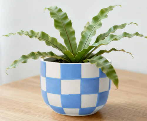 blue and white checkered ceramic planter