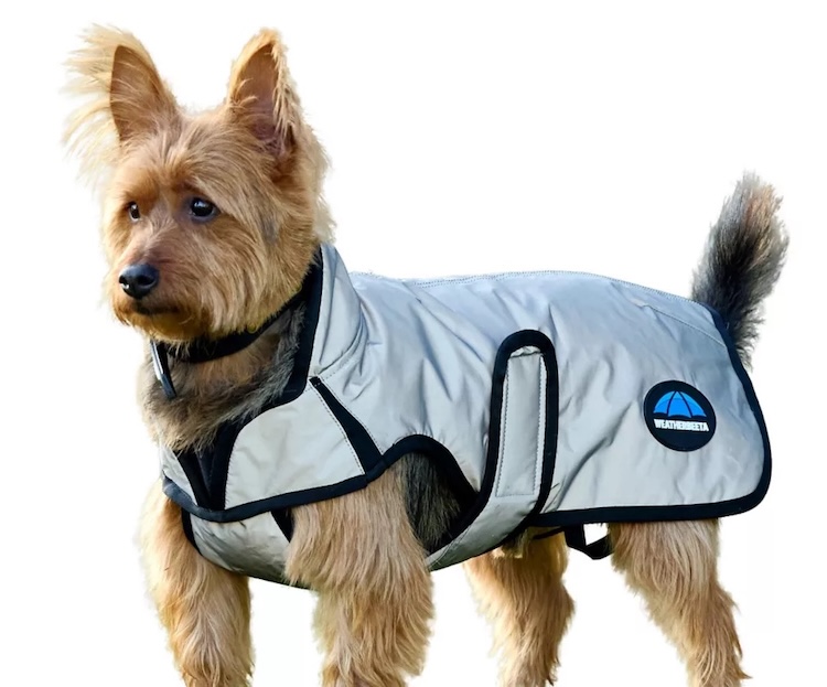 WeatherBeeta Reflective Dog Coat