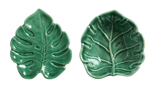 green monstera leaf plates