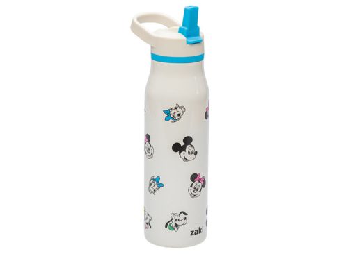 Disney Character Mickey & Friends Stainless Steel Bottle