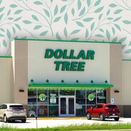 Dollar Tree