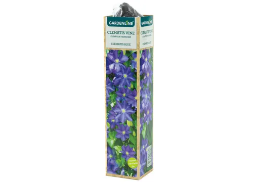 Gardenline Clematis Assortment
