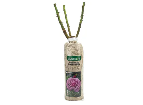 Gardenline Premium Rose Bushes