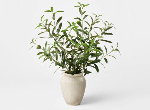 Large Olive Leaf Arrangement - Threshold™ designed with Studio McGee