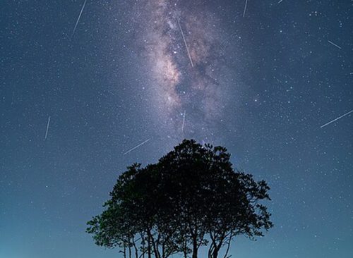 Lyrid Meteor Shower 