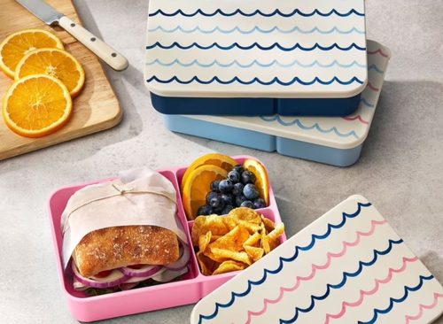 Member's Mark 3-Pack Snack & Go Bento Box