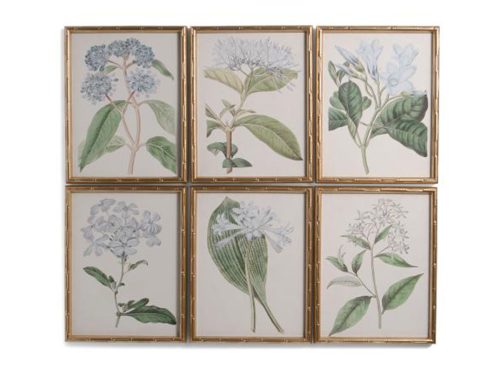 STUPELL Set Of 6 14x18 Flowers Wall Art
