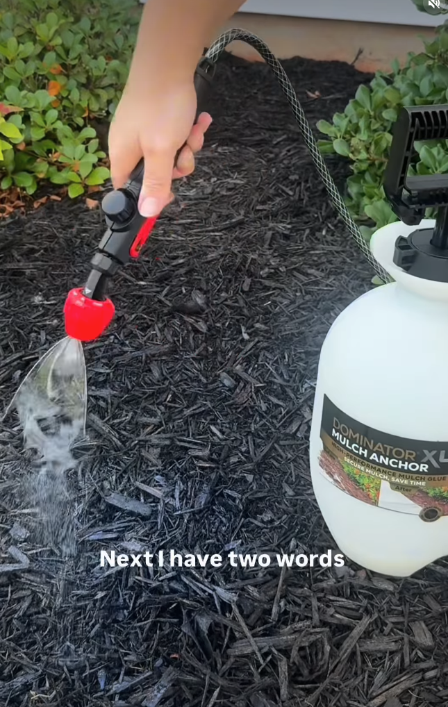 Mulch Glue