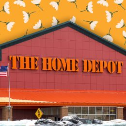 The Home Depot