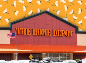 The Home Depot