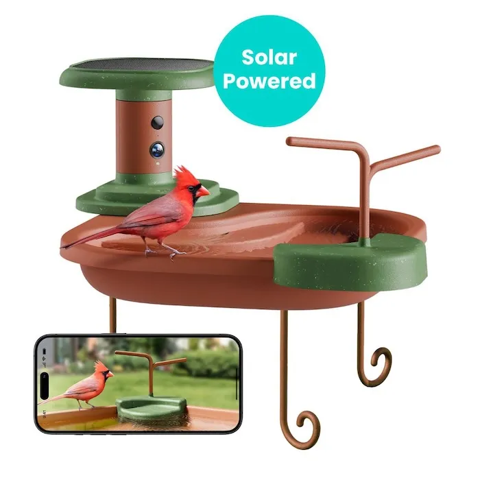 Birdfy Smart Bird Bath
