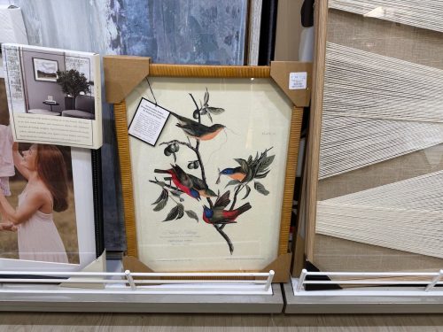 homegoods-hidden-gems-bird-art
