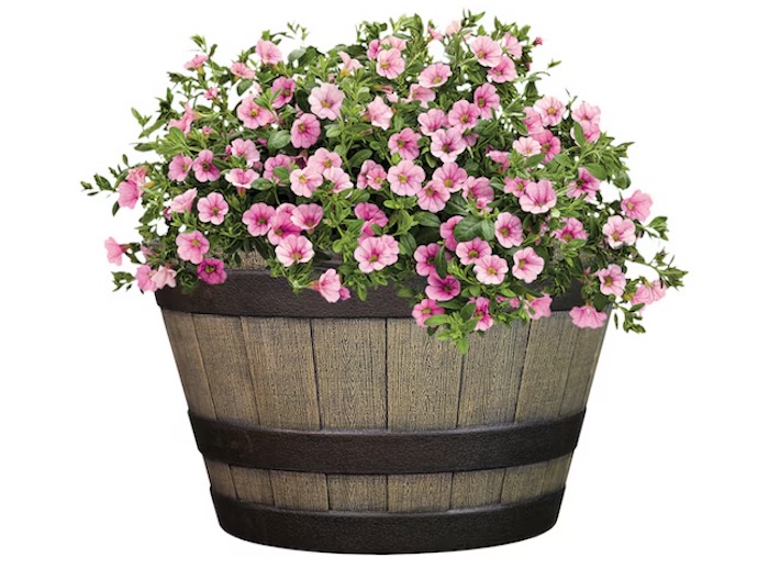 Style Selections Outdoor Planter