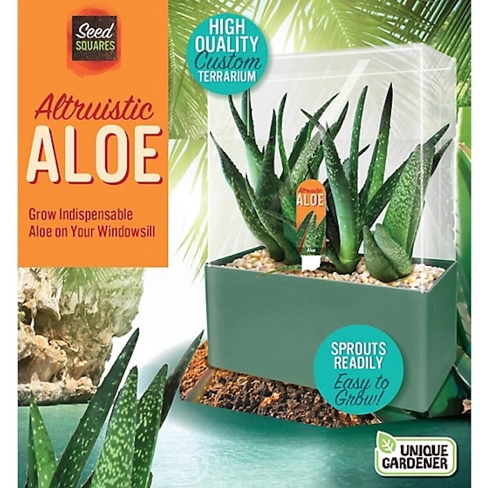 Unique Gardener Altruistic Aloe Seed Squares