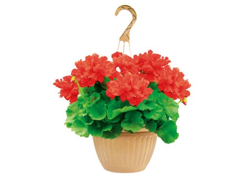 10 inch Assorted Hanging Baskets