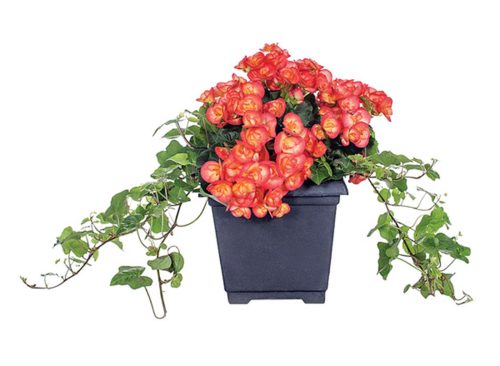 8in Patio Planter