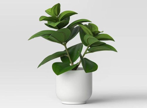 Artificial Leaf Plant - Threshold™: Peperomia Caperata in Melamine Pot, Indoor Faux Flora Decor