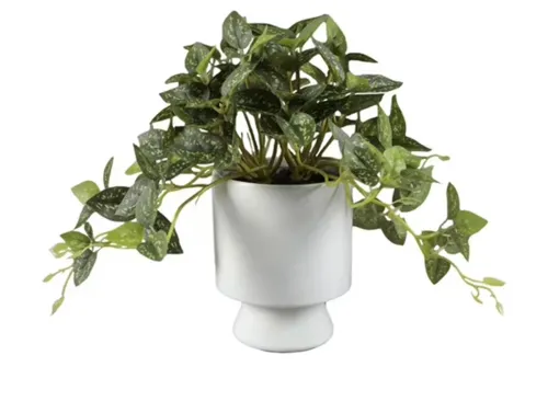Artificial Trailing Leaf Plant in Ceramic Pot, 9 in H x 7.5 in W x 7.5 in D